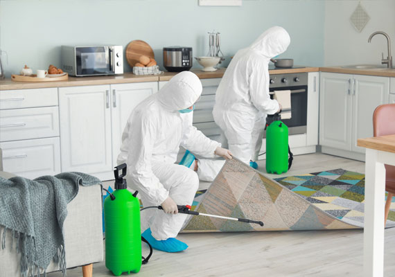 Home Disinfecting Services Stockton